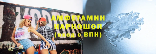 прущие грибы Беломорск