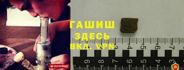 прущие грибы Беломорск