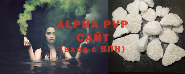 прущие грибы Беломорск