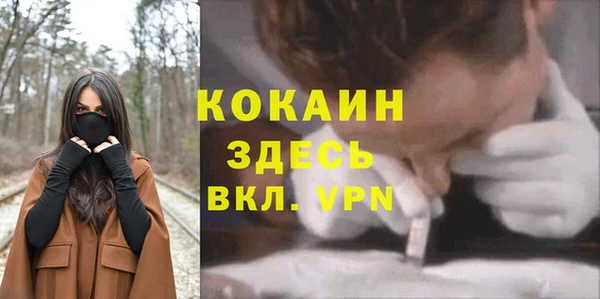 соль курить ск Белокуриха