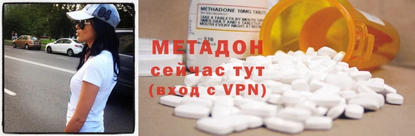 прущие грибы Беломорск