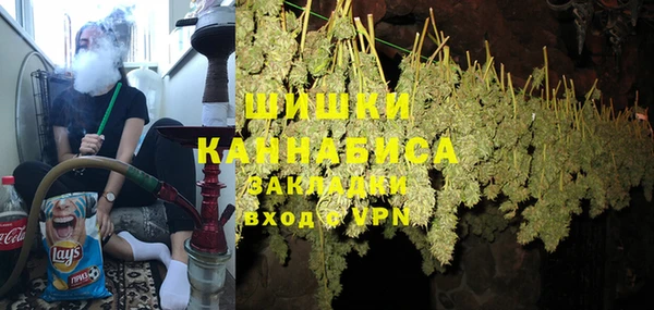 прущие грибы Беломорск