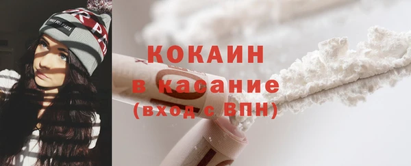 прущие грибы Беломорск
