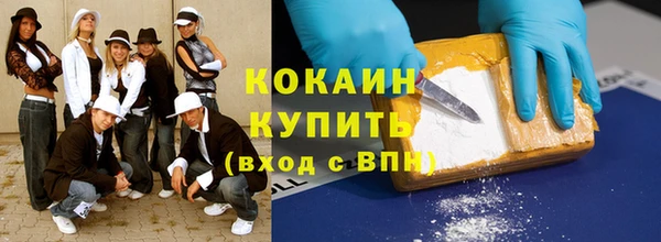 прущие грибы Беломорск