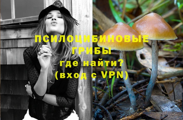 соль курить ск Белокуриха