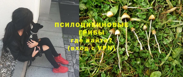 соль курить ск Белокуриха