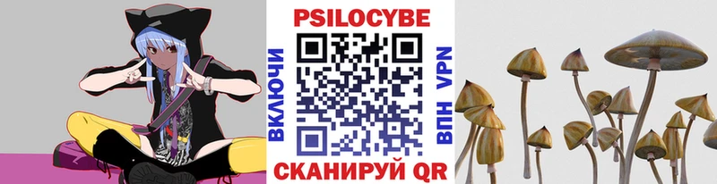 цены Шацк Псилоцибиновые грибы ЛСД